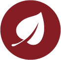 List vegan ikona